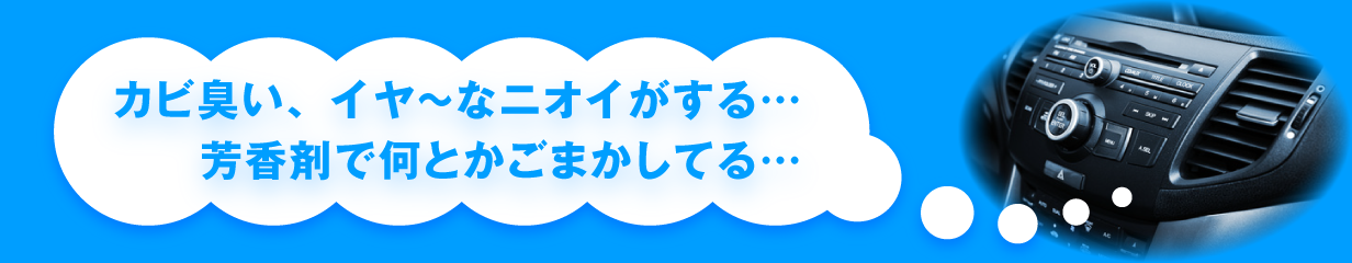 カビ臭い、イヤ〜なニオイがする… 芳香剤で何とかごまかしている…